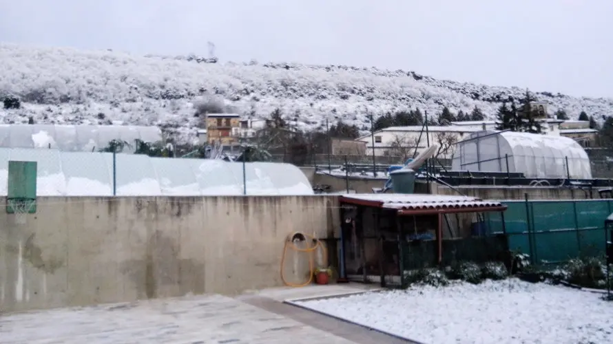 Primeras nieves en Pamplona. LEÓNIDES