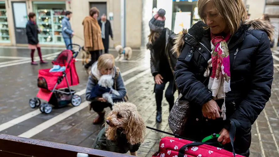 Bendición de animales en la parroquia de San Nicolás por la festividad de San Antón (4). IÑIGO ALZUGARAY