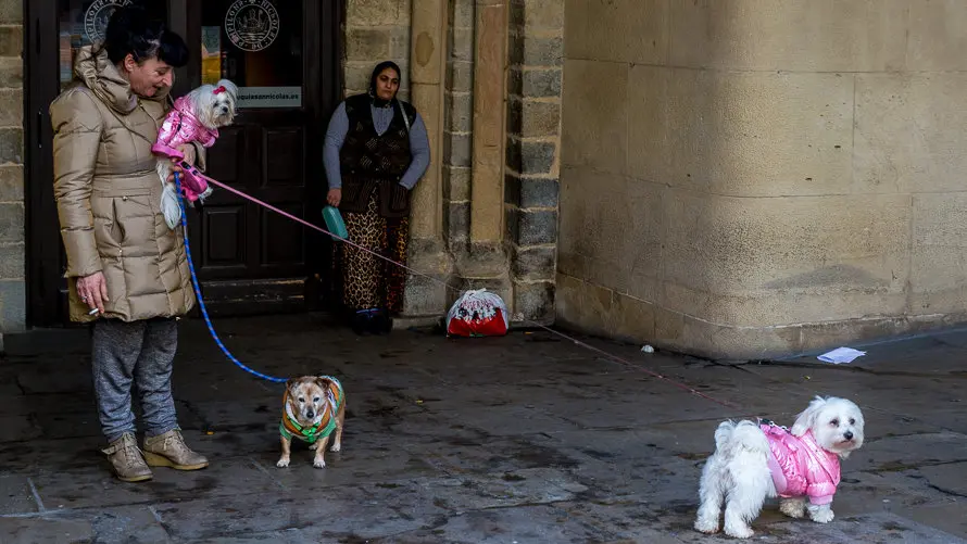 Bendición de animales en la parroquia de San Nicolás por la festividad de San Antón (7). IÑIGO ALZUGARAY