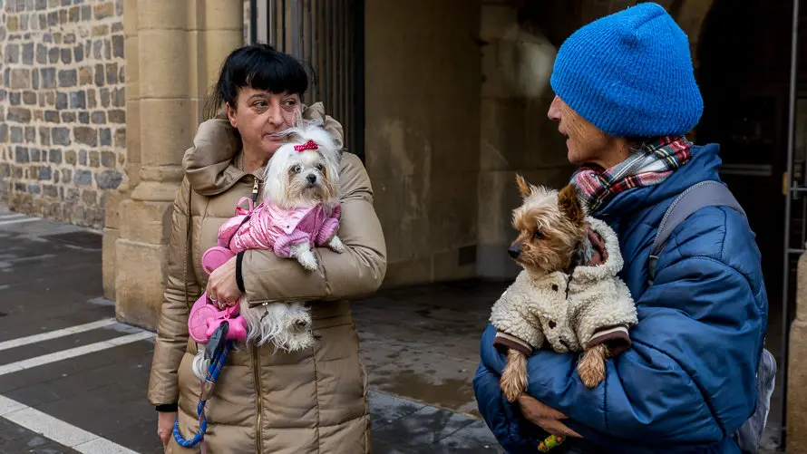 Bendición de animales en la parroquia de San Nicolás por la festividad de San Antón (10). IÑIGO ALZUGARAY