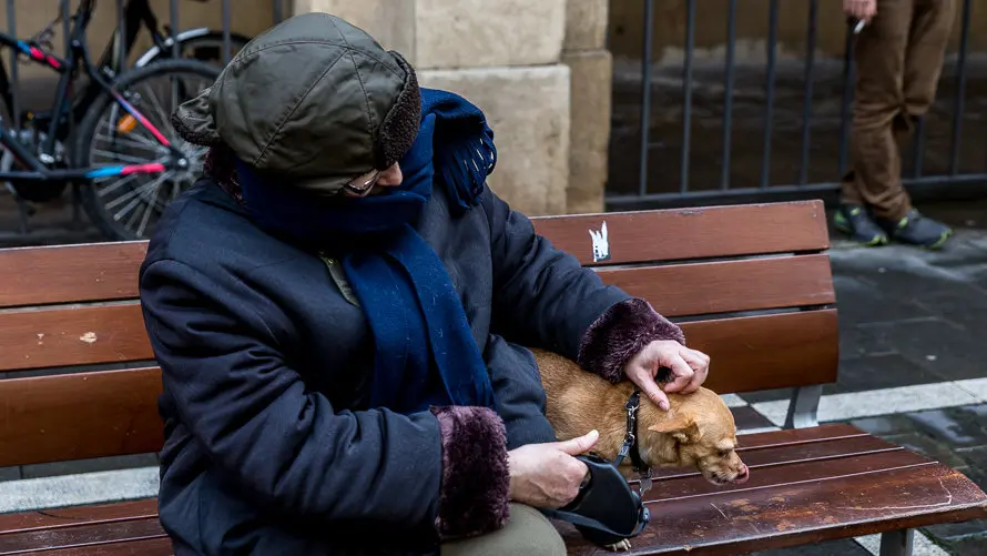 Bendición de animales en la parroquia de San Nicolás por la festividad de San Antón (15). IÑIGO ALZUGARAY