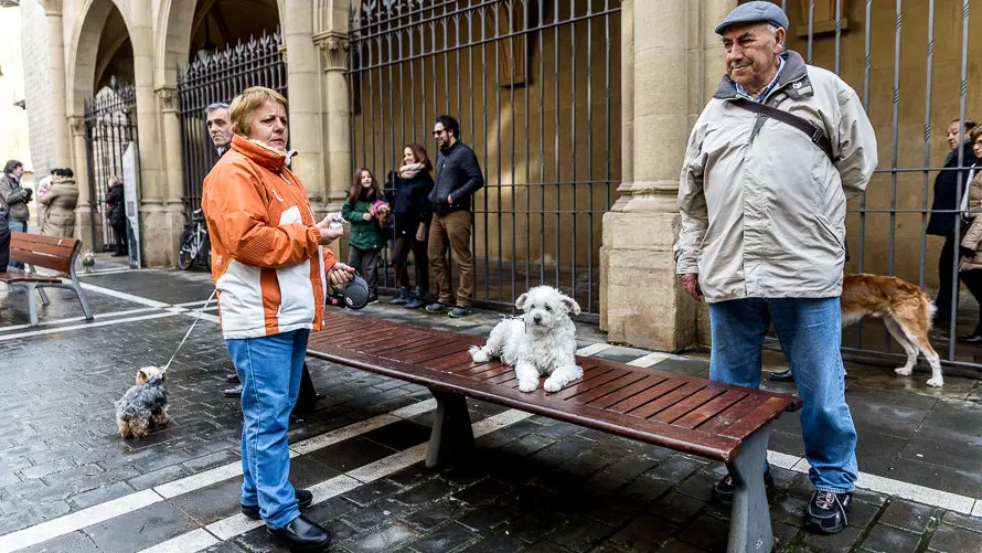 Bendición de animales en la parroquia de San Nicolás por la festividad de San Antón (19). IÑIGO ALZUGARAY