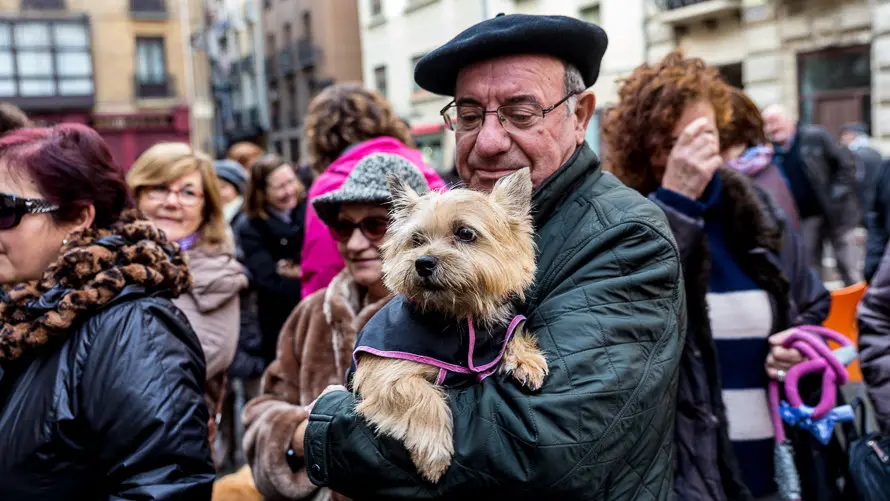 Bendición de animales en la parroquia de San Nicolás por la festividad de San Antón (22). IÑIGO ALZUGARAY