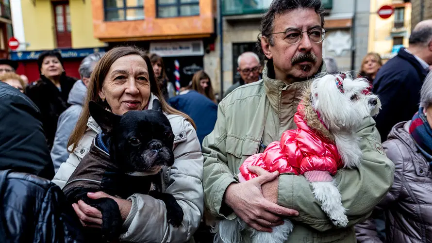 Bendición de animales en la parroquia de San Nicolás por la festividad de San Antón (23). IÑIGO ALZUGARAY