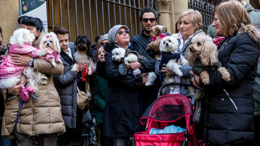 Bendición de animales en la parroquia de San Nicolás por la festividad de San Antón (26). IÑIGO ALZUGARAY