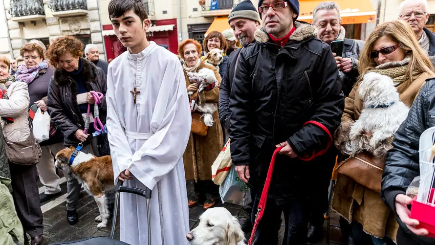Bendición de animales en la parroquia de San Nicolás por la festividad de San Antón (27). IÑIGO ALZUGARAY