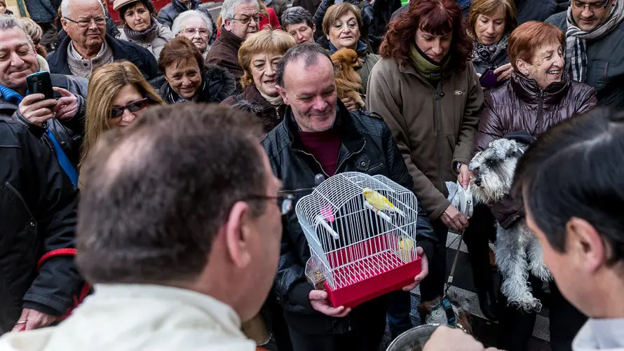 Bendición de animales en la parroquia de San Nicolás por la festividad de San Antón (30). IÑIGO ALZUGARAY