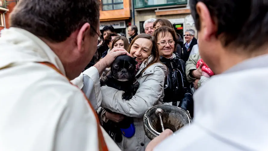 Bendición de animales en la parroquia de San Nicolás por la festividad de San Antón (31). IÑIGO ALZUGARAY
