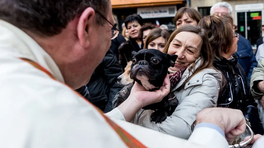 Bendición de animales en la parroquia de San Nicolás por la festividad de San Antón (32). IÑIGO ALZUGARAY