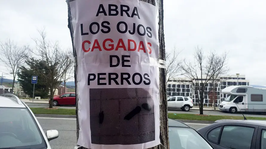 Carteles en Pamplona que alertan de cagadas de perros por las aceras. 2