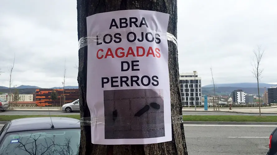 Carteles en Pamplona que alertan de cagadas de perros por las aceras.