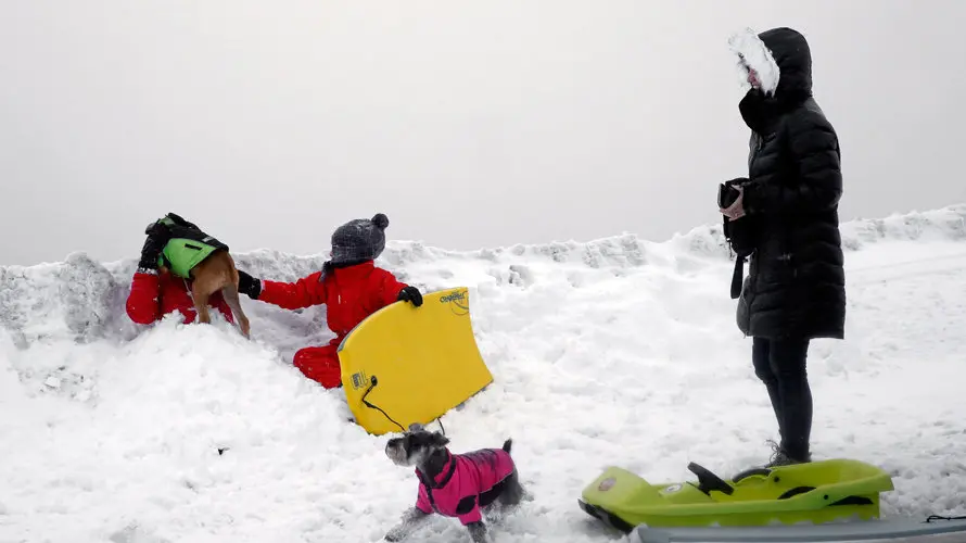 Varias personas disfrutan de la nieve junto a sus perros en el Santuario de San Miguel de Aralar. EFE.