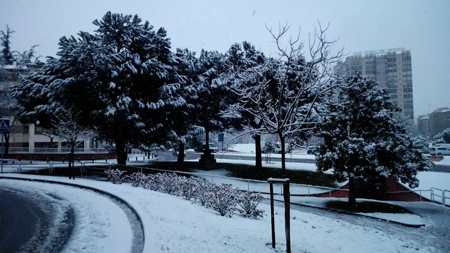 Nieve en las calles de Pamplona. (1)