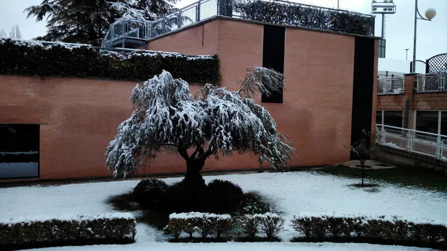 Nieve en las calles de Pamplona. (1)