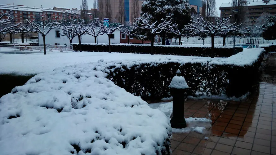Nieve en las calles de Pamplona. (2)