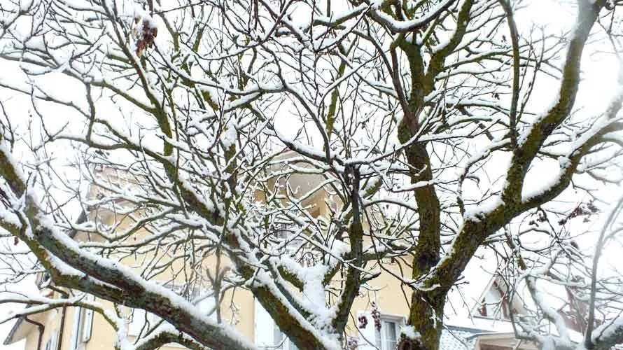 Nieve en Mutilva Alta 1. S.REDÍN