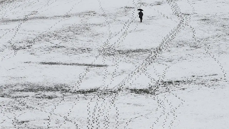 -FOTODELDIA- GRA054. PAMPLONA, 10/03/2016.- Aspecto que presenta La Ciudadela en Pamplona tras la nevada caida durante esta madrugada en la capital navarra. Once vehículos y personal técnico del Ayuntamiento de Pamplona trabajan para evitar problemas derivados de la nieve que cae en la ciudad, donde hay retenciones en algunos puntos y el Transporte Urbano Comarcal presta servicio a todas las líneas de la red pero con retrasos generalizados. EFE/Jesús Diges