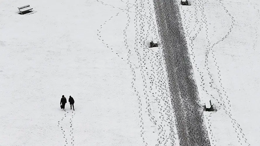 GRA057 PAMPLONA, 10/03/2016.- Aspecto que presenta La Ciudadela en Pamplona tras la nevada caída durante esta madrugada en la capital navarra, donde once vehículos y personal técnico del Ayuntamiento trabajan para evitar problemas derivados de la nieve que ha provocadoretenciones en algunos puntos y retrasos en el transporte urbano comarcal aunque presta servicio a todas las líneas de la red. EFE/Jesús Diges