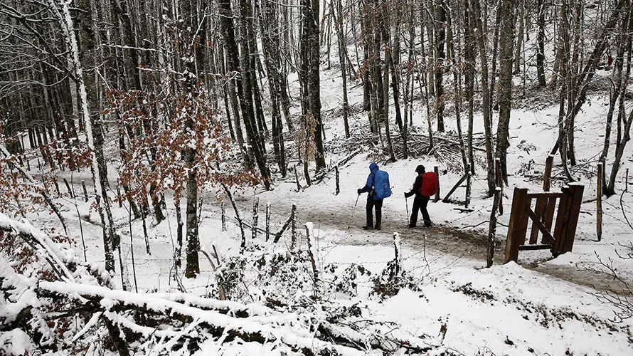 GRA247. ESPINAL (NAVARRA), 08/04/2016.- Un grupo de peregrinos camina por el alto de Mezkiritz en una jornada donde el descenso de la cota de nieve hasta los 700 metros ha sido la nota meteorológica del día. La cota sube hasta los 900 metros a lo largo del día asi como las temperaturas. EFE/Jesús Diges