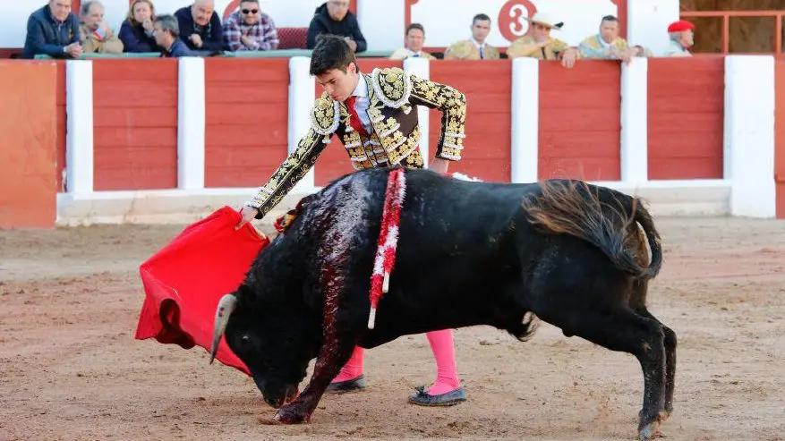Debut del novillero navarro Toñete con picadores en Zamora. LA OPINIÓN DE ZAMORA (2)