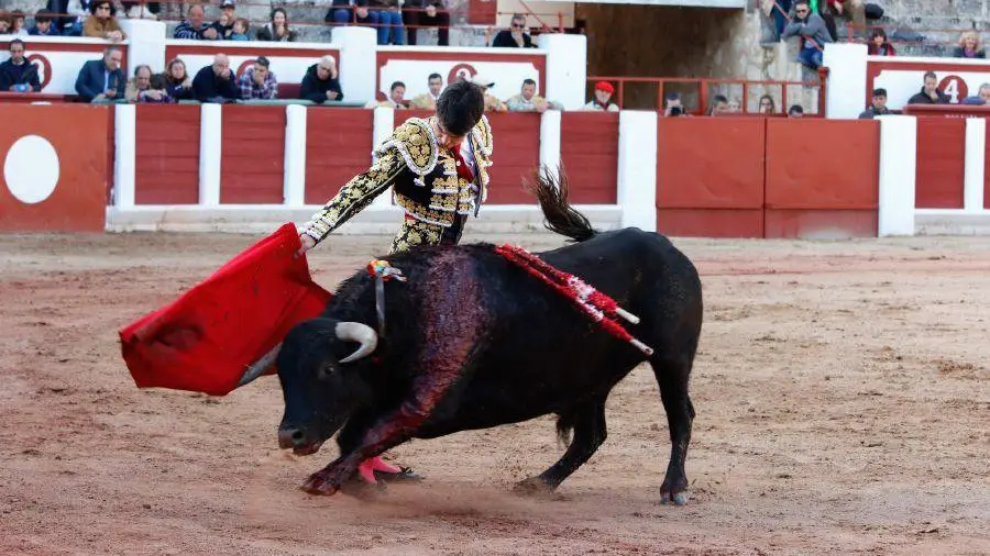 Debut del novillero navarro Toñete con picadores en Zamora. LA OPINIÓN DE ZAMORA (3)