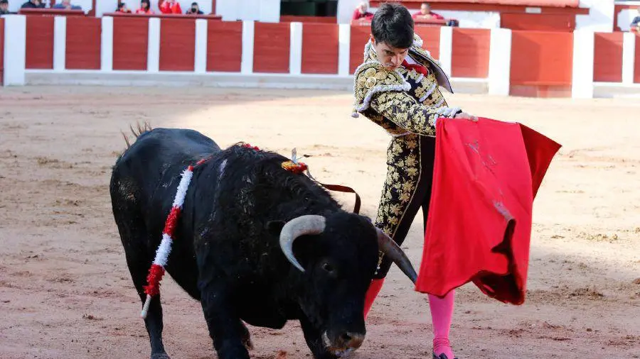 Debut del novillero navarro Toñete con picadores en Zamora. LA OPINIÓN DE ZAMORA (4)