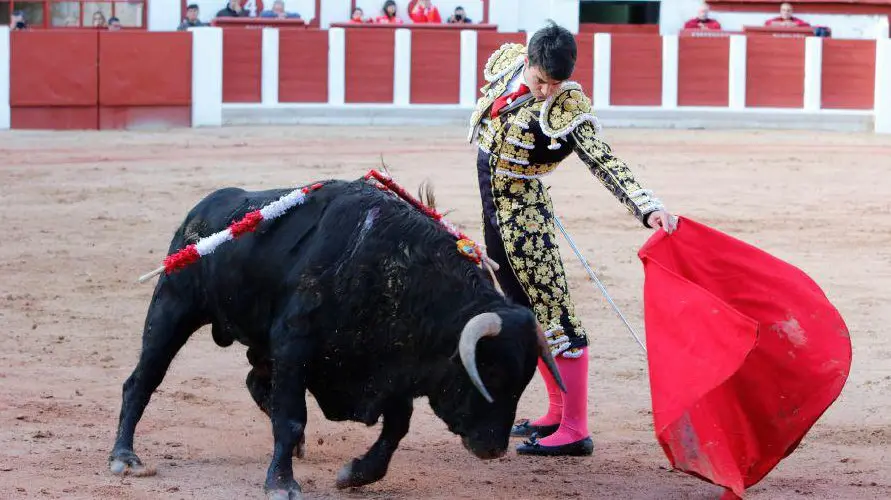 Debut del novillero navarro Toñete con picadores en Zamora. LA OPINIÓN DE ZAMORA (5)