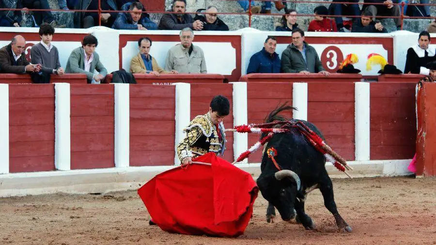 Debut del novillero navarro Toñete con picadores en Zamora. LA OPINIÓN DE ZAMORA (7)