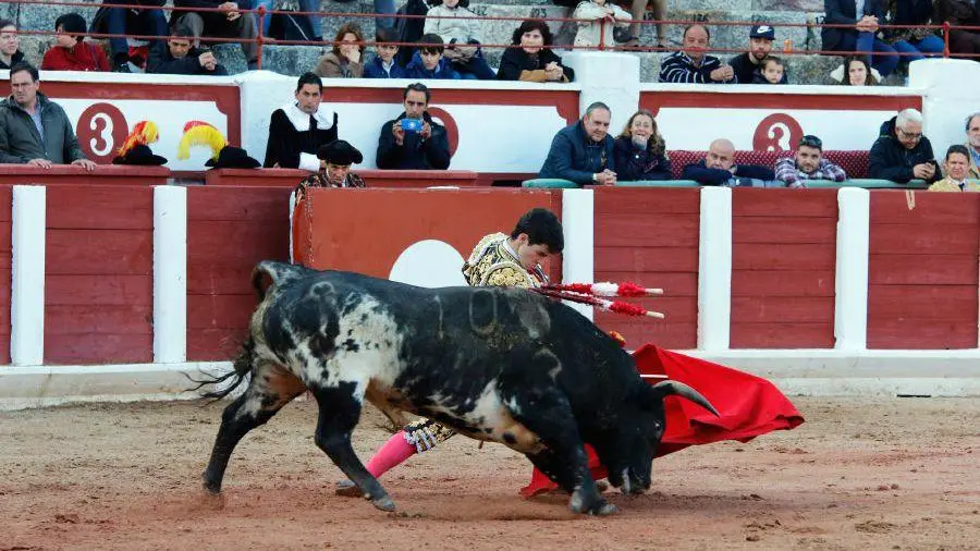 Debut del novillero navarro Toñete con picadores en Zamora. LA OPINIÓN DE ZAMORA (8)