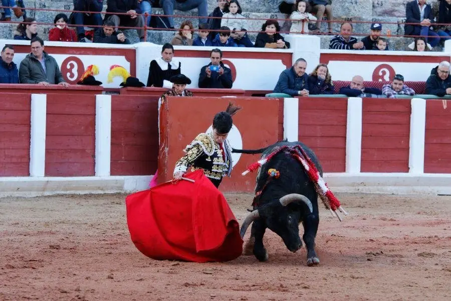 Debut del novillero navarro Toñete con picadores en Zamora. LA OPINIÓN DE ZAMORA (9)