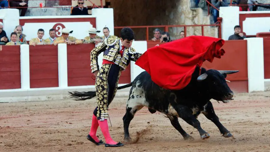 Debut del novillero navarro Toñete con picadores en Zamora. LA OPINIÓN DE ZAMORA (10)