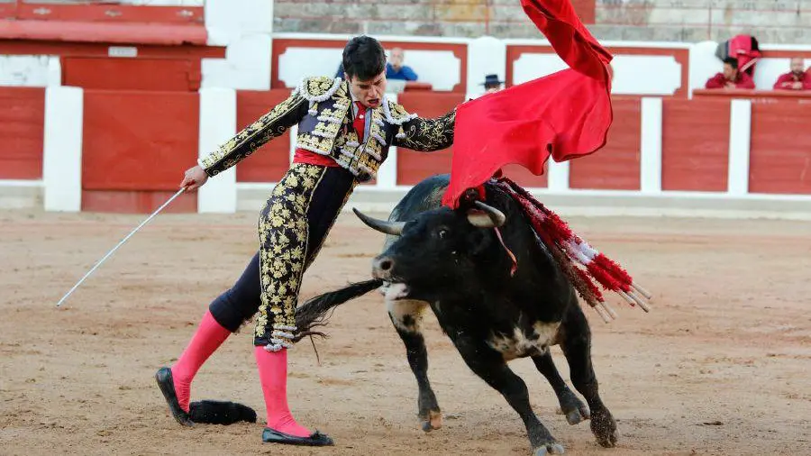Debut del novillero navarro Toñete con picadores en Zamora. LA OPINIÓN DE ZAMORA (11)