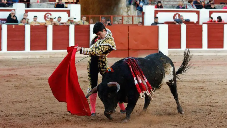Debut del novillero navarro Toñete con picadores en Zamora. LA OPINIÓN DE ZAMORA (12)