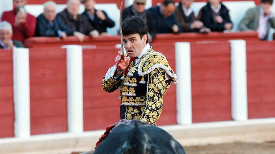 Debut del novillero navarro Toñete con picadores en Zamora. LA OPINIÓN DE ZAMORA (13)