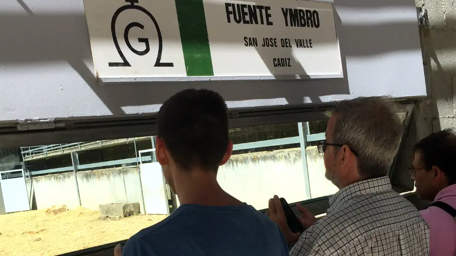 Cientos de personas han acudido a los corrales del Gas de Pamplona para ver los toros de San Fermín.