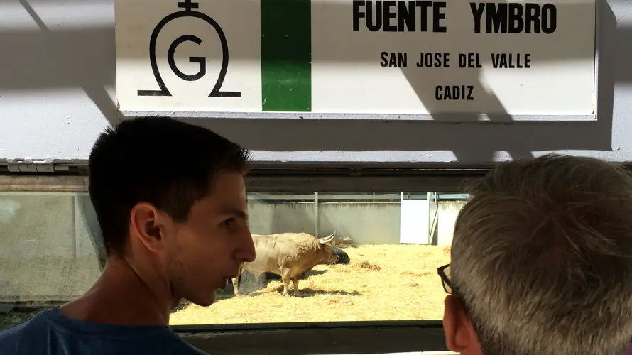 Cientos de personas han acudido a los corrales del Gas de Pamplona para ver los toros de San Fermín.
