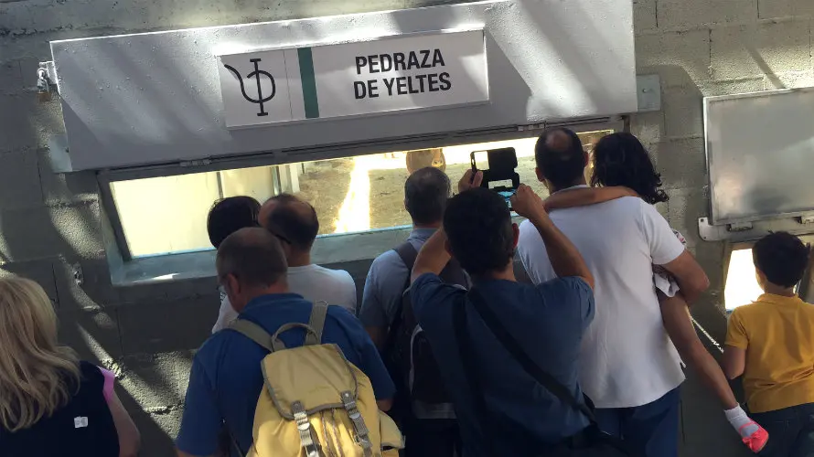 Cientos de personas han acudido a los corrales del Gas de Pamplona para ver los toros de San Fermín.