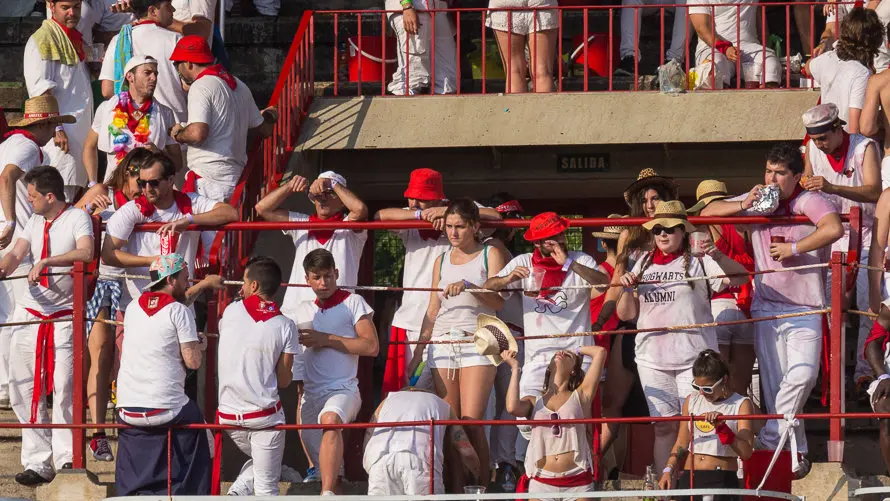 Imágenes de los tendidos de la Plaza de Pamplona en la corrida de los toros de Pedraza de Yeltes (19). IÑIGO ALZUGARAY