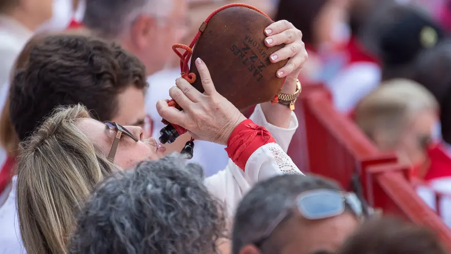 Imágenes de los tendidos de la Plaza de Pamplona en la corrida de los toros de Pedraza de Yeltes (24). IÑIGO ALZUGARAY