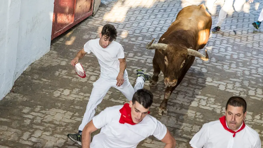 Quinto encierro de los Sanfermines con toros de Jandilla. Tramo del Callejón (19). IÑIGO ALZUGARAY