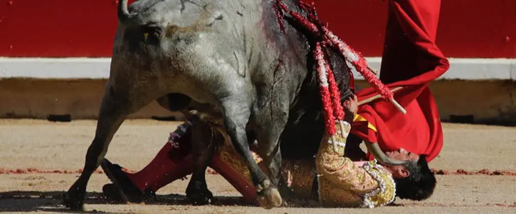 Francisco Marco con toros de Jos&eacute; Escolar en la Feria del Toro de Pamplona. REUTERS