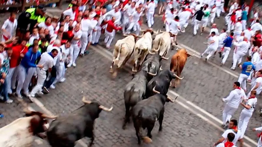 Encierro de los Miura a su paso por el Ayuntamiento.