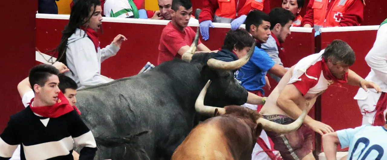 GRA044. PAMPLONA, 14/07/2016.- Los toros de la ganadería de Miura han cerrado hoy los encierros de San Fermín de 2016 con una carrera rápida y muy limpia hasta llegar a la plaza, a cuya entrada la caída de dos astados ocasionó peligro al inicio de la arena del coso.El encierro se ha saldado, según un primer balance de los servicios sanitarios, con al menos seis heridos atendidos por los equipos médicos.La imagen corresponde a la entrada de la Plaza de Toros donde varios mozos cayeron pasando los toros por encima y creando situaciones de peligro. EFE/Josu Santesteban