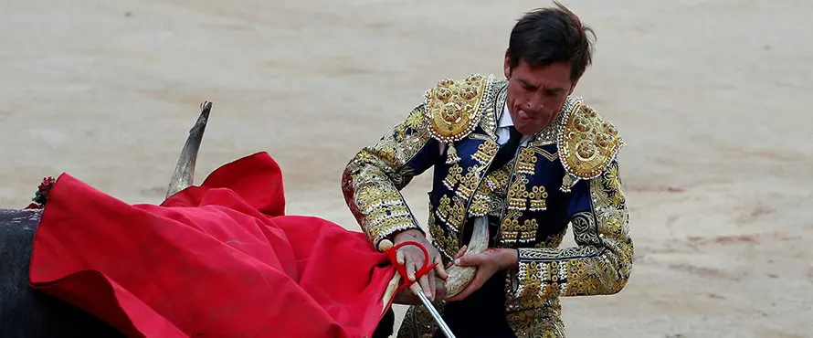 Spanish bullfighter Eduardo Davila Miura gets tackled by a bull during the last bullfight at the San Fermin Festival in Pamplona, northern Spain, July 14, 2016. REUTERS/Susana VeraCODE: X01622