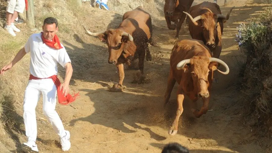 Los mozos corren delante de siete vacas en el tercer descenso y Pilón de Falces. MIGUEL OSÉS