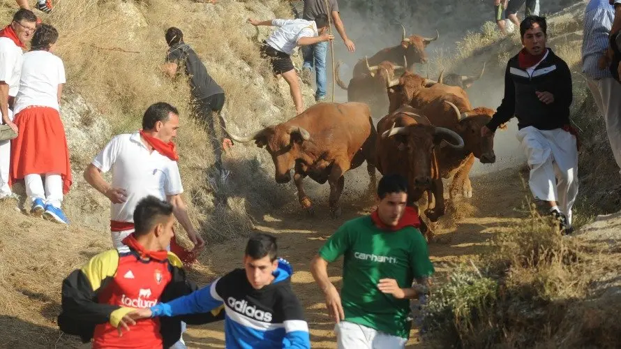 Los mozos corren delante de siete vacas en el tercer descenso y Pilón de Falces. MIGUEL OSÉS