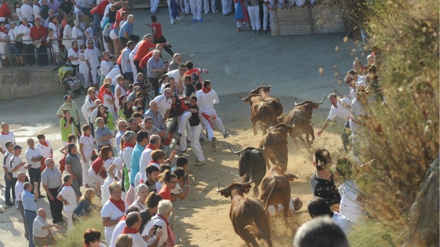 Los mozos corren delante de siete vacas en el tercer descenso y Pilón de Falces. MIGUEL OSÉS