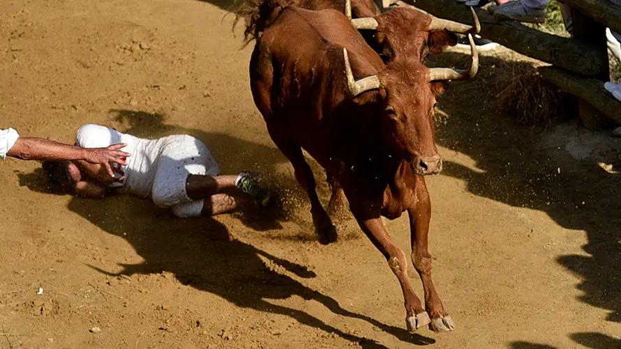 Tercer encierro del Pilón. PABLO LASAOSA 04