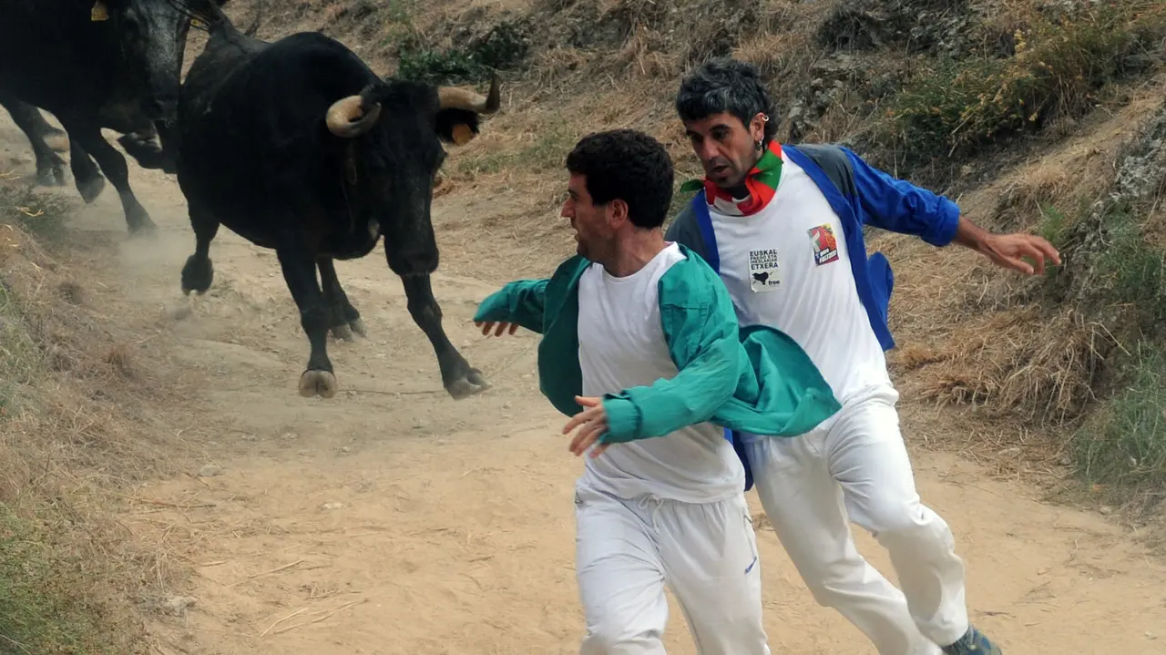 Encierro del Pilón de Falces (M. Osés) (1)