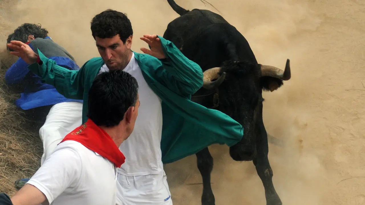 Encierro del Pilón de Falces (M. Osés) (3)